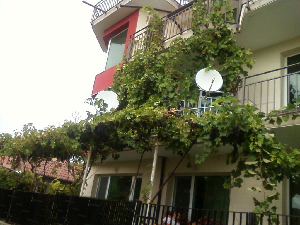 Villa Sunny Hill Fish Fish ภายนอก รูปภาพ